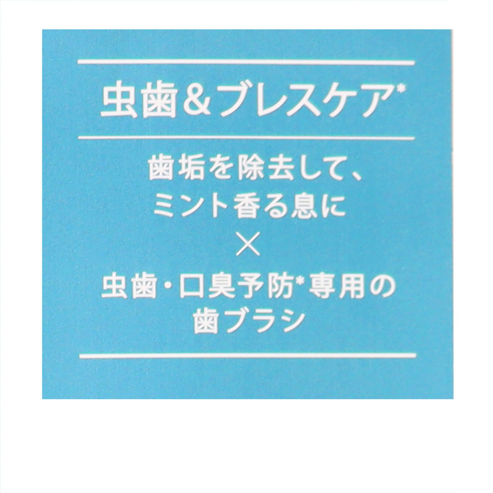 歯みがきセットデイリー