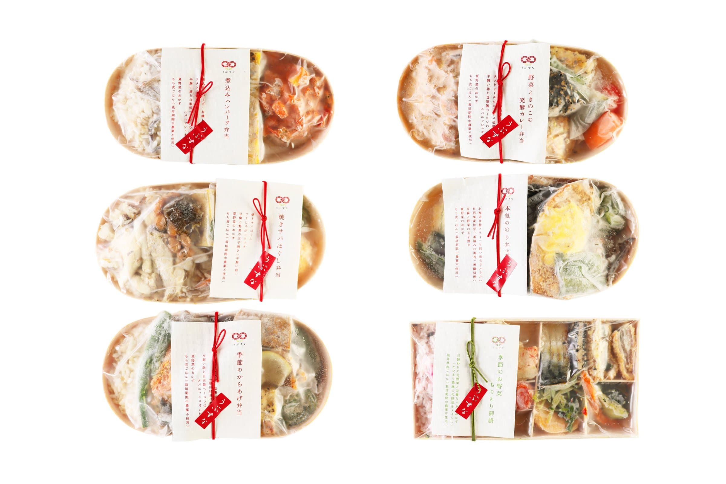【送料無料】うぶすなの冷凍弁当セット6種×各1個