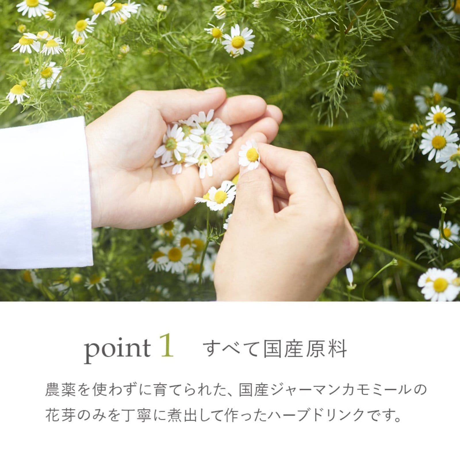 華密恋ドリンク　10本入