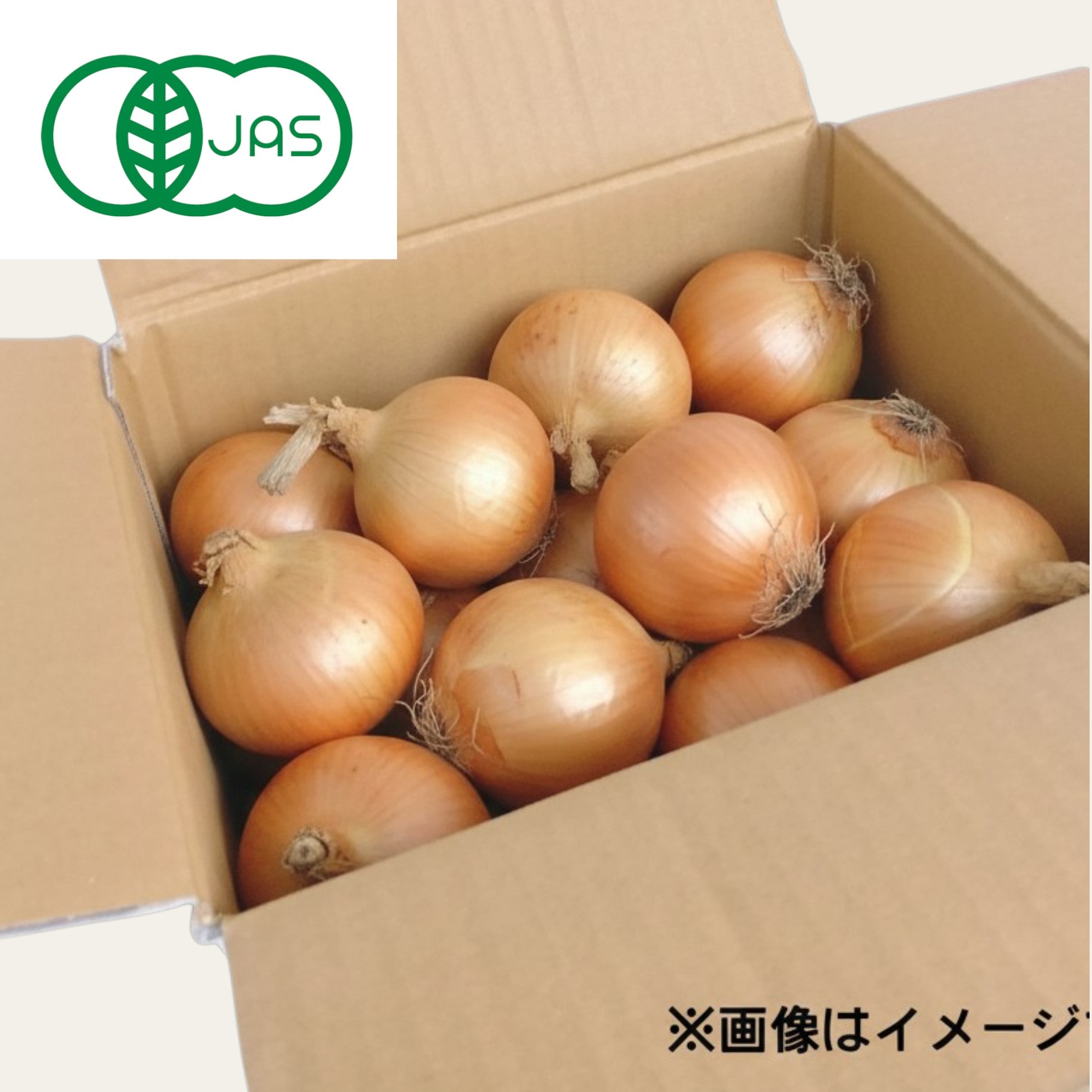 たまねぎ箱　5kg　有機(C)