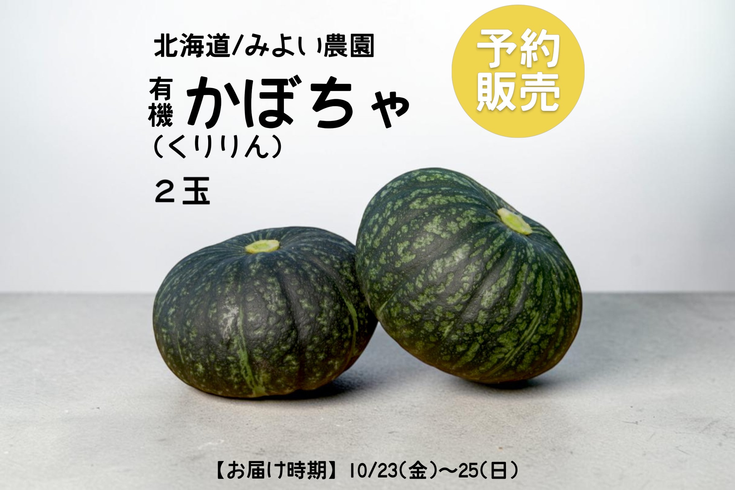 輝きかぼちゃ箱　有機（P）