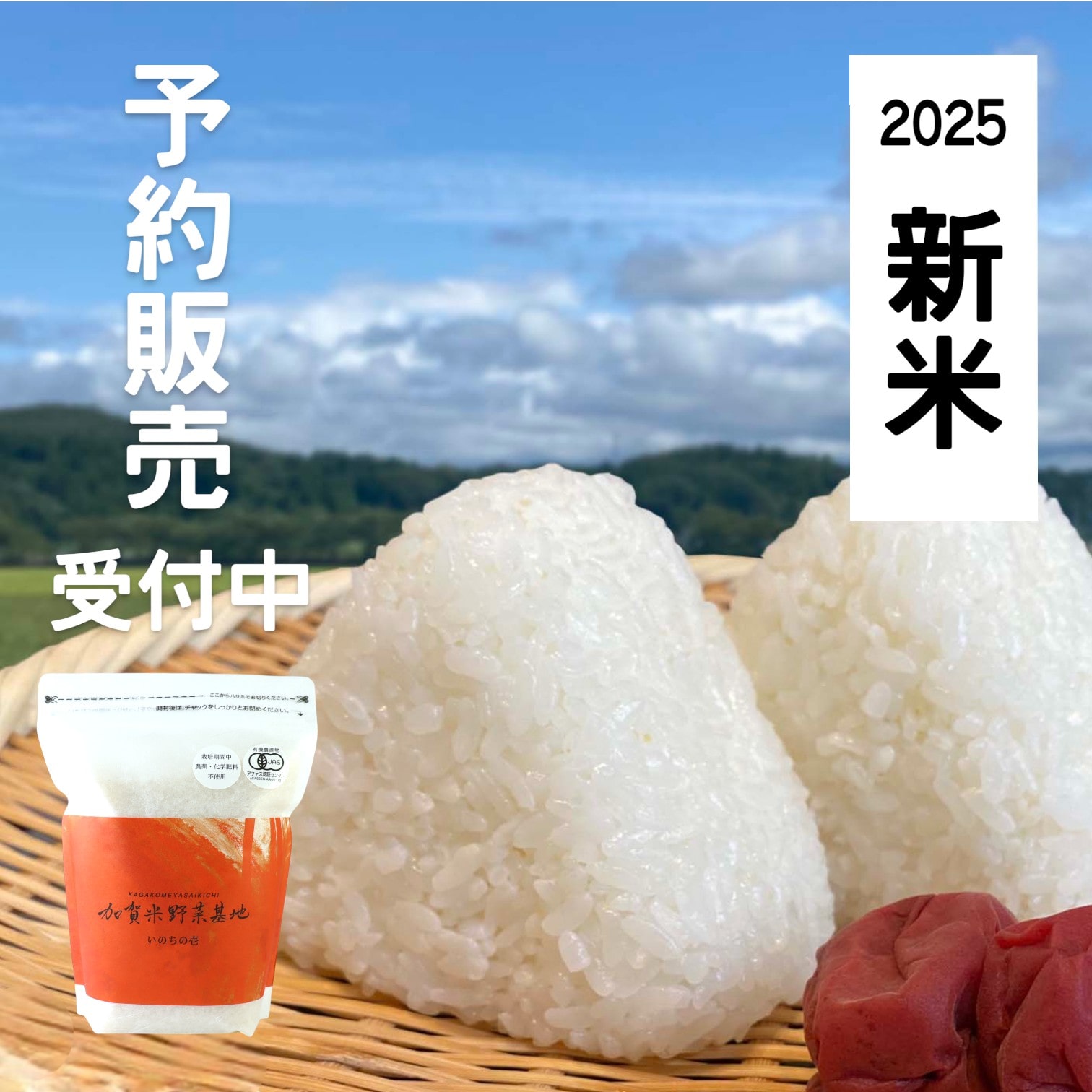 【送料無料】【予約】有機栽培石川県産 いのちの壱 白米 5kg